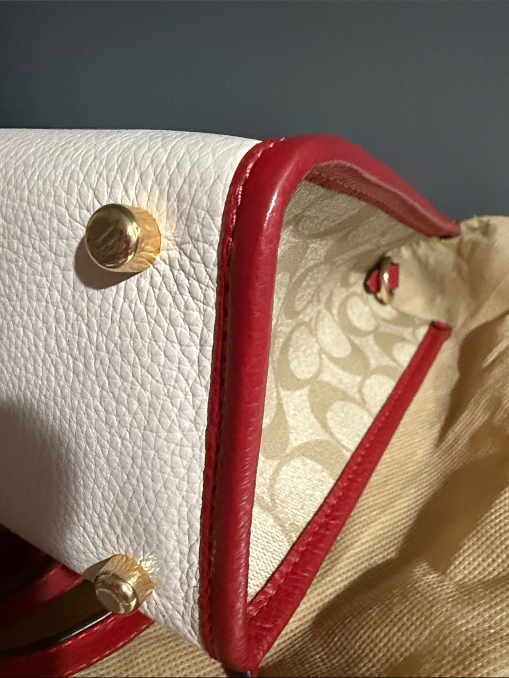 Coach Lunar New Year Dempsey signature canvas with a rabbit and carriage motif - Picture 11 of 15